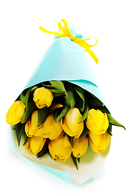 포토 JPG 해외이미지 리본 꽃다발 실내 사람없음 튤립 흰배경 해외202004 해외포토 꽃 백그라운드 내부 흰색 파일형식