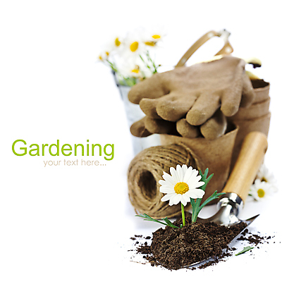 포토 JPG 해외이미지 화분 장갑 실내 사람없음 아웃포커스 흙 모종삽 원예 노끈 캐모마일 해외202004 해외포토 잡화 꽃 줄 촬영기법 취미 내부 삽 허브 파일형식