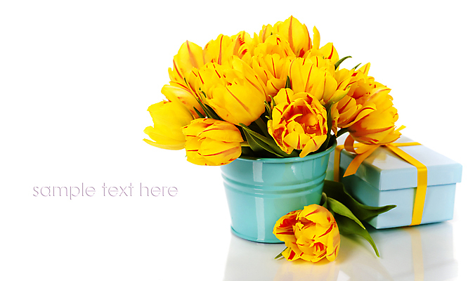 포토 JPG 해외이미지 화분 꽃다발 실내 사람없음 선물상자 튤립 흰배경 카피스페이스 해외202004 해외포토 꽃 백그라운드 선물 내부 상자 공백 흰색 파일형식