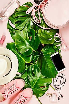 포토 JPG 해외이미지 안경 이어폰 실내 사람없음 스마트폰 하이앵글 유행 핸드백 머리빗 스니커즈 열대잎 틴트 파스텔톤 분홍색배경 해외202004 해외포토 잡화 뷰포인트 분홍색 컬러 음향기기 백그라운드 운동화 잎 가방 내부 핸드폰 스마트기기 화장품 미용용품 파일형식