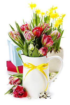 포토 JPG 해외이미지 리본 꽃다발 실내 사람없음 선물상자 꽃병 튤립 흰배경 메추리알 알껍데기 해외202004 해외포토 꽃 백그라운드 선물 내부 상자 알 흰색 파일형식