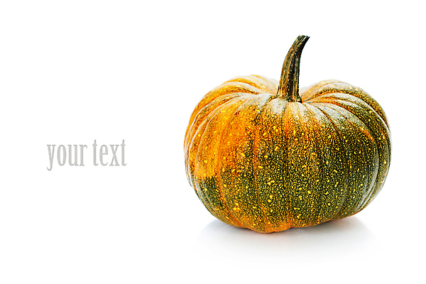 포토 JPG 해외이미지 호박 실내 타이포그라피 사람없음 농작물 한개 가을 흰배경 카피스페이스 해외202004 해외포토 문자 1 계절 백그라운드 농업 채소 내부 공백 흰색 파일형식
