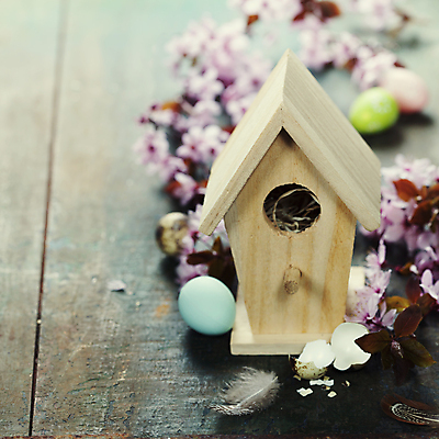 포토 JPG 해외이미지 부활절 사람없음 아웃포커스 벚꽃 나뭇가지 깃털 부활절계란 새장 메추리알 나무탁자 알껍데기 해외202004 해외포토 나무 기념일 꽃 탁자 촬영기법 계란 알 케이지 파일형식