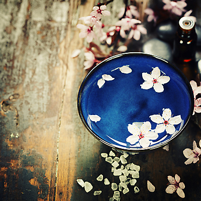 포토 JPG 해외이미지 꽃잎 봄꽃 실내 사람없음 물 스파 벚꽃 찻잔 스파용품 아로마오일 입욕소금 나무배경 해외202004 해외포토 자연요소 꽃 백그라운드 잔 내부 봄 미용용품 오일_화장품 오브젝트 소금 파일형식