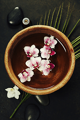 포토 JPG 해외이미지 잎 검은배경 실내 사람없음 물 하이앵글 사발 스파용품 아로마테라피 스톤 난초꽃 해외202004 해외포토 자연요소 식물 꽃 뷰포인트 백그라운드 내부 검은색 스파 난초 사기그릇 오브젝트 테라피 파일형식