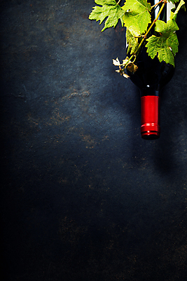 포토 JPG 해외이미지 백그라운드 포도 사람없음 와인 레드와인 화이트와인 카피스페이스 해외202004 해외포토 과일 주류 공백 파일형식