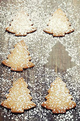 포토 JPG 해외이미지 크리스마스 실내 사람없음 여러개 달콤 나무바닥 슈가파우더 크리스마스트리모양쿠키 트리모양 해외202004 해외포토 모양 기념일 다수 바닥 내부 크리스마스트리 쿠키 맛 파일형식