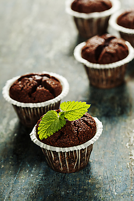 포토 JPG 해외이미지 실내 사람없음 여러개 달콤 컵케이크 민트 나무바닥 초코맛 해외202004 해외포토 다수 바닥 내부 케이크 초콜릿 맛 허브 파일형식