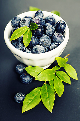 포토 JPG 해외이미지 그릇 잎 사람없음 담기 블루베리 해외202004 해외포토 식물 식기 과일 모션 파일형식