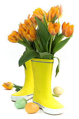 포토 JPG 해외이미지 꽃다발 부활절 실내 장화 사람없음 튤립 흰배경 부활절계란 해외202004 해외포토 기념일 꽃 백그라운드 신발 내부 계란 흰색 파일형식