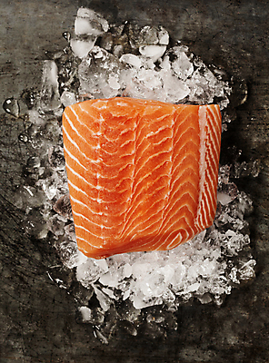 포토 JPG 해외이미지 실내 근접촬영 사람없음 하이앵글 얼음 날것 연어 연어요리 연어회 해외202004 해외포토 자연요소 음식 뷰포인트 어류 내부 생선회 파일형식