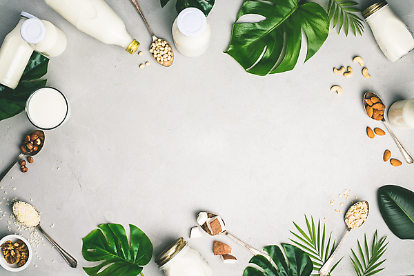 포토 JPG 해외이미지 접시 잎 프레임 실내 사람없음 숟가락 우유 견과류 우유병 흰배경 호두 코코넛 아몬드 대두 카피스페이스 귀리 해외202004 해외포토 식물 식기 백그라운드 과일 병_용기 유제품 곡류 수저 내부 공백 흰색 파일형식