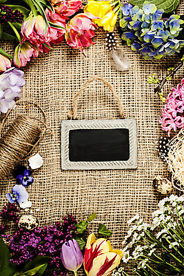 포토 JPG 해외이미지 꽃 실내 사람없음 칠판 튤립 깃털 노끈 메추리알 히아신스 카피스페이스 해외202004 해외포토 식물 줄 내부 알 공백 파일형식