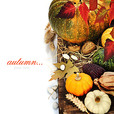 포토 JPG 해외이미지 낙엽 호박 실내 타이포그라피 사람없음 농작물 벼 가을 흰배경 나무바닥 호두 추수감사절 호박씨 카피스페이스 흑찰옥수수 해외202004 해외포토 문자 계절 기독교 백그라운드 잎 농업 채소 곡류 바닥 씨앗 내부 공백 견과류 흰색 찰옥수수 파일형식