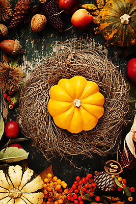 포토 JPG 해외이미지 열매 호박 실내 사람없음 농작물 가을 둥지 사과 밤송이 나무바닥 호두 도토리 솔방울 해외202004 해외포토 식물 계절 농업 채소 과일 바닥 내부 견과류 밤_견과류 파일형식