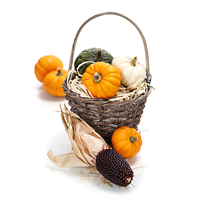 포토 JPG 해외이미지 호박 실내 사람없음 농작물 바구니 가을 볏짚 흰배경 담기 추수감사절 흑찰옥수수 해외202004 해외포토 계절 기독교 백그라운드 농업 채소 모션 내부 흰색 짚 찰옥수수 파일형식