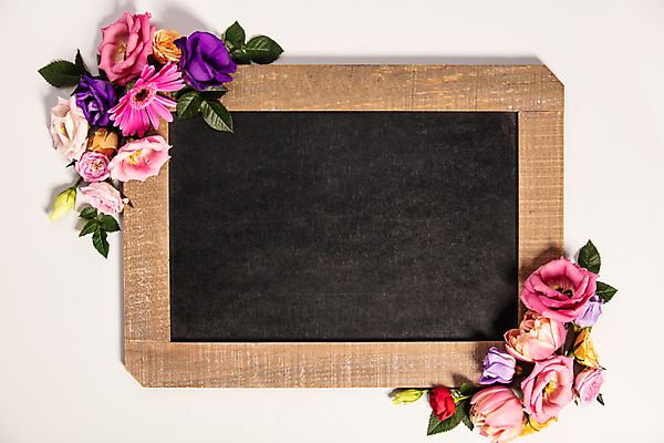 포토 JPG 해외이미지 꽃 잎 실내 사람없음 칠판 흰배경 카피스페이스 해외202004 해외포토 식물 백그라운드 내부 공백 흰색 파일형식