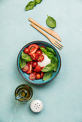 포토 JPG 해외이미지 접시 포크 토마토 건강 사람없음 하이앵글 샐러드 나이프 파란배경 채식 바질 후추통 다이어트음식 저칼로리식단 비건 해외202004 해외포토 식기 음식 뷰포인트 백그라운드 다이어트 채소 파란색 칼 양념통 식단 저칼로리 채식주의자 파일형식