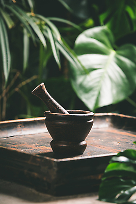 포토 JPG 해외이미지 잎 실내 사람없음 아로마 절구 아로마테라피 나무쟁반 해외202004 해외포토 식물 쟁반 내부 목재 도구 테라피 파일형식