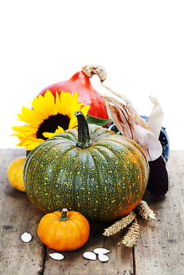 포토 JPG 해외이미지 호박 해바라기 실내 사람없음 농작물 벼 가을 흰배경 추수감사절 나무탁자 호박씨 흑찰옥수수 해외202004 해외포토 계절 꽃 기독교 백그라운드 농업 채소 탁자 곡류 씨앗 내부 흰색 찰옥수수 파일형식