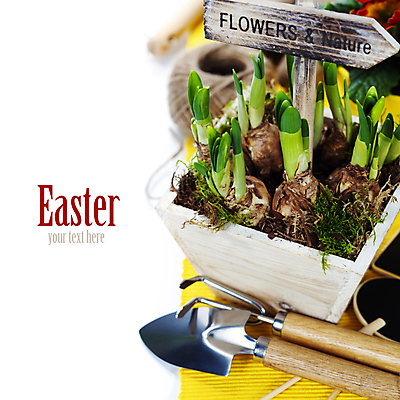 포토 JPG 해외이미지 화분 부활절 실내 사람없음 표지판 모종삽 흰배경 원예 수선화 노끈 갈퀴 해외202004 해외포토 기념일 꽃 줄 백그라운드 알림판 취미 내부 흰색 삽 파일형식