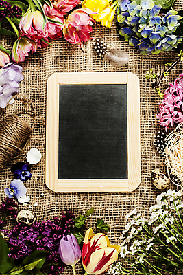 포토 JPG 해외이미지 꽃 실내 사람없음 칠판 튤립 노끈 메추리알 히아신스 카피스페이스 해외202004 해외포토 식물 줄 내부 알 공백 파일형식