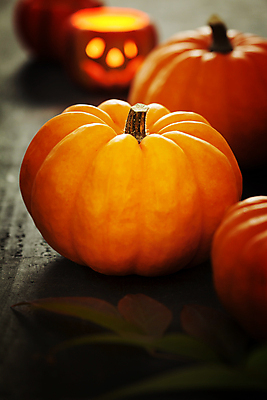 포토 JPG 해외이미지 호박 실내 사람없음 아웃포커스 농작물 할로윈 가을 나무바닥 잭오랜턴 해외202004 해외포토 계절 농업 채소 바닥 촬영기법 내부 파일형식