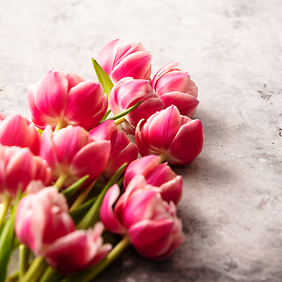 포토 JPG 해외이미지 꽃다발 실내 사람없음 튤립 해외202004 해외포토 꽃 내부 파일형식