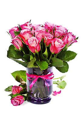 포토 JPG 해외이미지 잎 실내 사람없음 장미 꽃병 흰배경 담기 해외202004 해외포토 식물 꽃 백그라운드 모션 내부 흰색 파일형식