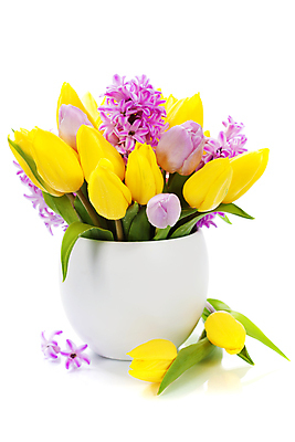 포토 JPG 해외이미지 꽃다발 봄꽃 실내 사람없음 꽃병 튤립 흰배경 히아신스 해외202004 해외포토 꽃 백그라운드 내부 봄 흰색 파일형식