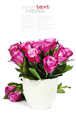 포토 JPG 해외이미지 잎 실내 사람없음 장미 꽃병 흰배경 담기 해외202004 해외포토 식물 꽃 백그라운드 모션 내부 흰색 파일형식