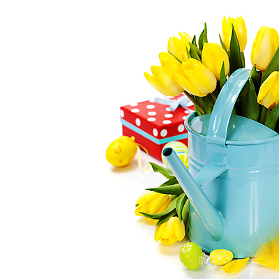 포토 JPG 해외이미지 꽃다발 부활절 실내 사람없음 선물상자 물뿌리개 튤립 흰배경 부활절계란 카피스페이스 해외202004 해외포토 기념일 꽃 백그라운드 선물 내부 상자 계란 공백 흰색 파일형식