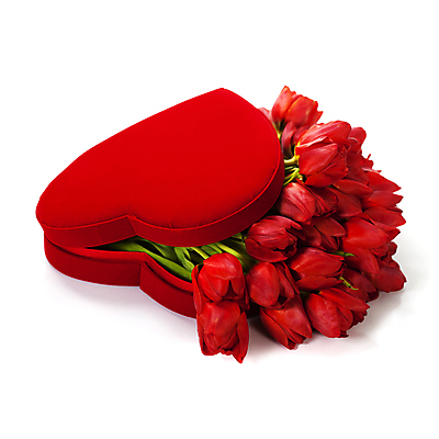 포토 JPG 해외이미지 꽃다발 사람없음 튤립 흰배경 하트상자 해외202004 해외포토 꽃 백그라운드 상자 흰색 파일형식