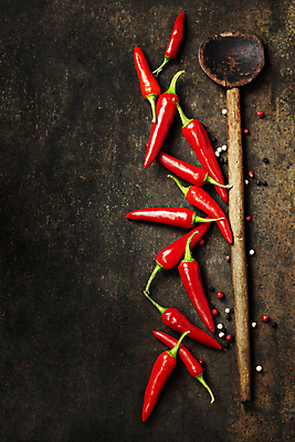 포토 JPG 해외이미지 식재료 사람없음 하이앵글 매움 홍고추 후추 나무숟가락 갈색배경 해외202004 해외포토 뷰포인트 백그라운드 고추 갈색 숟가락 맛 향신료 파일형식