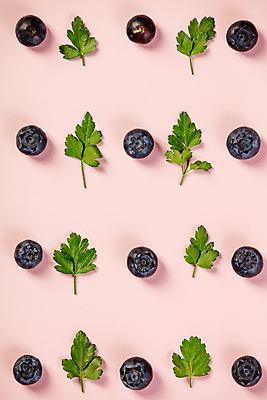 포토 JPG 해외이미지 잎 사람없음 블루베리 분홍색배경 해외202004 해외포토 식물 분홍색 백그라운드 과일 파일형식