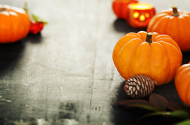 포토 JPG 해외이미지 호박 실내 사람없음 아웃포커스 농작물 할로윈 가을 나무바닥 솔방울 잭오랜턴 해외202004 해외포토 계절 농업 채소 바닥 촬영기법 내부 파일형식