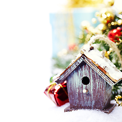 포토 JPG 해외이미지 크리스마스장식 크리스마스 사람없음 아웃포커스 선물상자 크리스마스트리 흰배경 보케 새장 오너먼트 해외202004 해외포토 기념일 백그라운드 촬영기법 선물 상자 흰색 케이지 파일형식