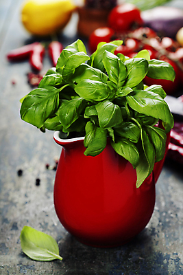 포토 JPG 해외이미지 화분 토마토 고추 실내 사람없음 아웃포커스 레몬 바질 해외202004 해외포토 채소 과일 촬영기법 내부 파일형식