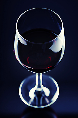 포토 JPG 해외이미지 사람없음 와인 낭만 나뭇가지 포도나무 카피스페이스 해외202004 해외포토 나무 컨셉 주류 공백 과일나무 파일형식