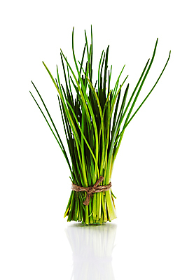 포토 JPG 해외이미지 채소 실내 사람없음 다발 흰배경 채식 부추 해외202004 해외포토 백그라운드 내부 흰색 파일형식