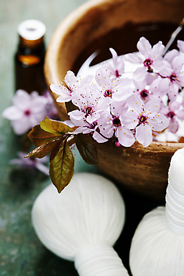 포토 JPG 해외이미지 잎 실내 사람없음 벚꽃 사발 나무바닥 스파용품 아로마테라피 허브볼 해외202004 해외포토 식물 꽃 바닥 내부 스파 사기그릇 오브젝트 테라피 파일형식