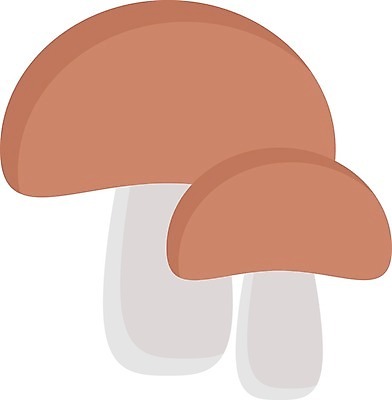 EPS 해외이미지 식물 실루엣 음식 조각 다이어트 일러스트 재료 자연 건강 세트 검은색 식사 버섯 신선 맛 먹기 그림 유기농 슬라이스 심플 윤곽 내추럴 고립 곰팡이 독버섯 채식주의자 캡모자 해외202105 해외일러스트 모자_잡화 웰빙 컬러 컨셉 모션 촬영기법 생태계 채식 파일형식 벡터