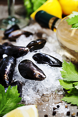 포토 JPG 해외이미지 사람없음 아웃포커스 얼음 화이트와인 레몬 나무바닥 홍합 후추 해외202004 해외포토 자연요소 과일 어패류 바닥 촬영기법 와인 향신료 파일형식