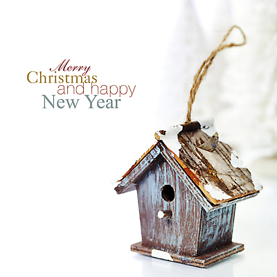 포토 JPG 해외이미지 크리스마스장식 크리스마스 타이포그라피 사람없음 흰배경 새장 카피스페이스 해외202004 해외포토 문자 기념일 백그라운드 공백 흰색 케이지 파일형식