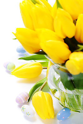 포토 JPG 해외이미지 꽃다발 부활절 실내 근접촬영 사람없음 꽃병 튤립 흰배경 부활절계란 해외202004 해외포토 기념일 꽃 뷰포인트 백그라운드 내부 계란 흰색 파일형식