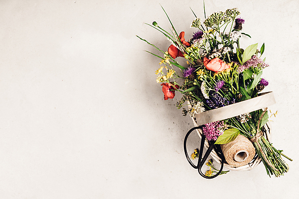 포토 JPG 해외이미지 꽃다발 실내 사람없음 들꽃 흰배경 꽃바구니 노끈 카피스페이스 해외202004 해외포토 꽃 줄 백그라운드 내부 바구니 공백 흰색 파일형식