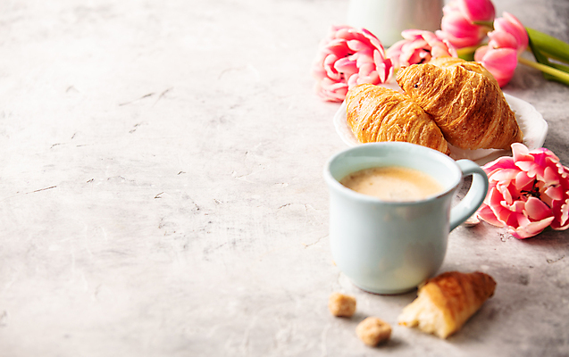 포토 JPG 해외이미지 접시 꽃 커피 디저트 실내 사람없음 커피잔 크루아상 흰배경 반쪽 카피스페이스 해외202004 해외포토 식물 식기 음료 음식 빵 백그라운드 잔 내부 공백 흰색 파일형식