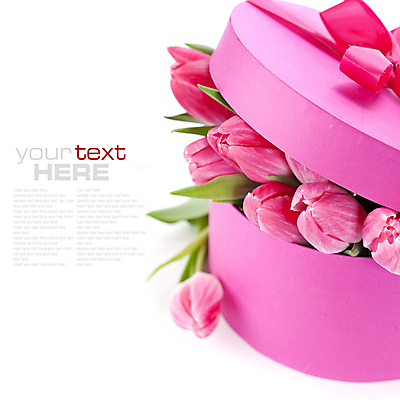 포토 JPG 해외이미지 꽃다발 실내 사람없음 선물상자 튤립 흰배경 담기 카피스페이스 해외202004 해외포토 꽃 백그라운드 모션 선물 내부 상자 공백 흰색 파일형식