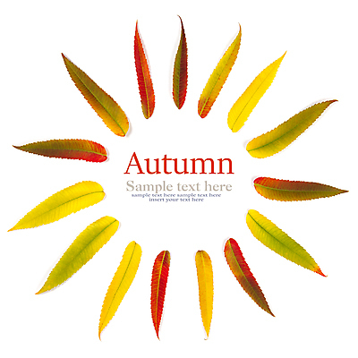 포토 JPG 해외이미지 실내 사람없음 가을 흰배경 해외202004 해외포토 계절 백그라운드 내부 흰색 파일형식