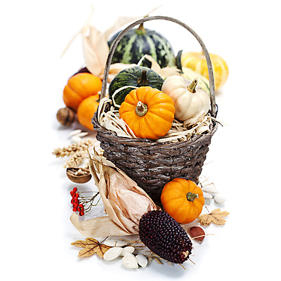 포토 JPG 해외이미지 열매 낙엽 호박 실내 사람없음 농작물 바구니 벼 가을 볏짚 흰배경 담기 추수감사절 흑찰옥수수 해외202004 해외포토 식물 계절 기독교 백그라운드 잎 농업 채소 모션 곡류 내부 흰색 짚 찰옥수수 파일형식